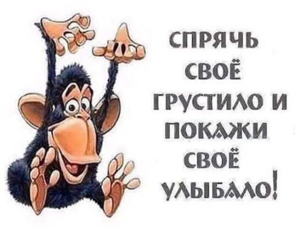 Открытки приколы смешные