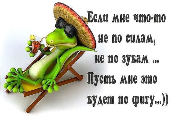 Статусы для ватсапа с юмором