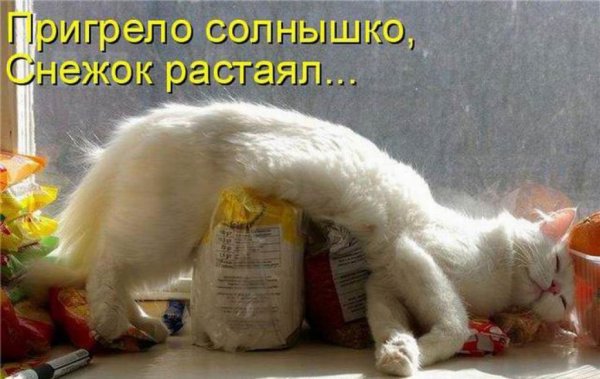 Прикольное фото с надписями для настроения