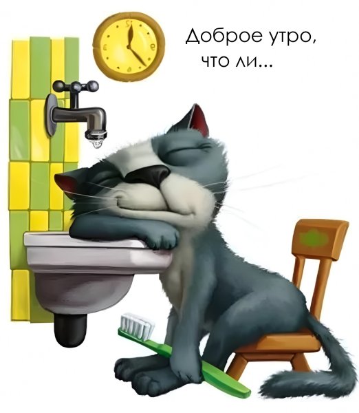 Забавные картинки с добрым утром