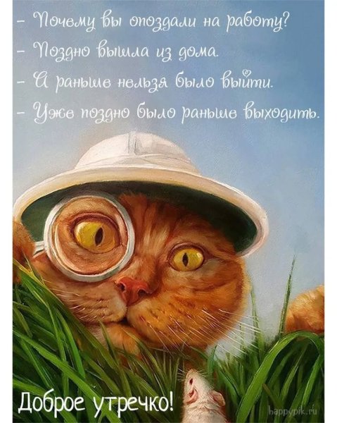 Прикольное доброе у РО