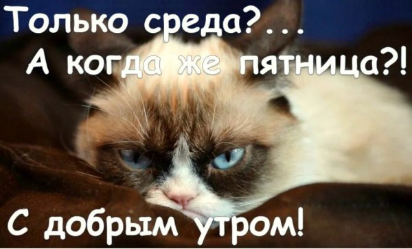 Среда картинки прикольные