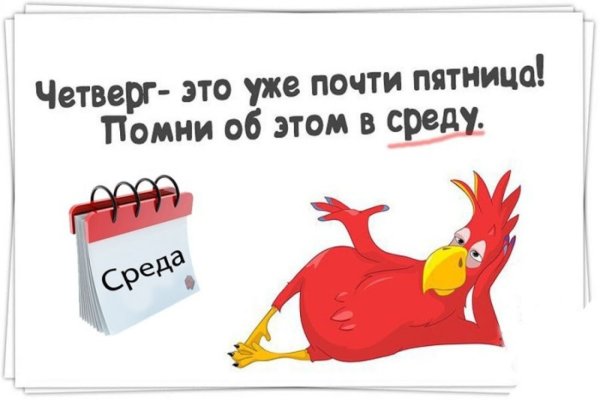 Среда цитаты