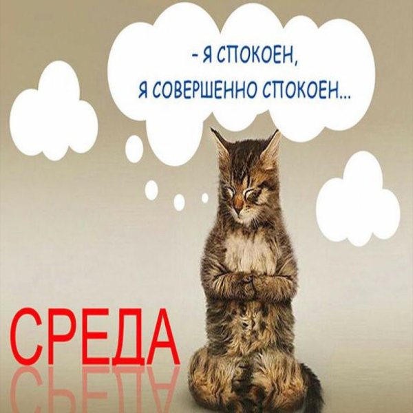 Шутки про среду