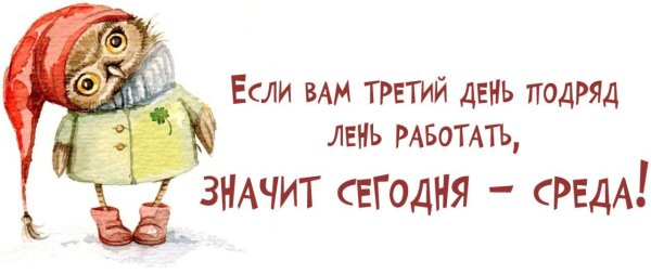 Шутки про среду