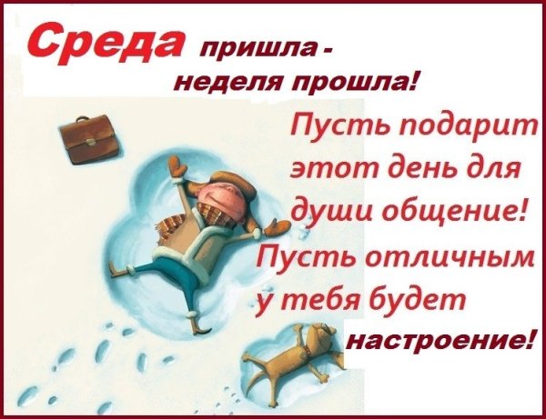 Смешные высказывания про среду