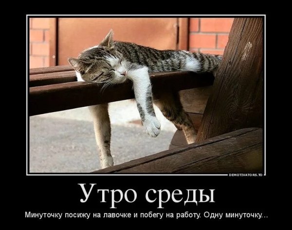 Демотиваторы утро среды