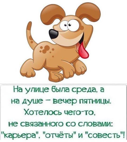 Статус про среду