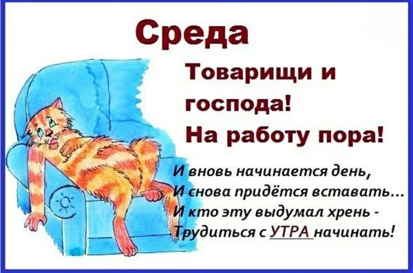 Стих про среду