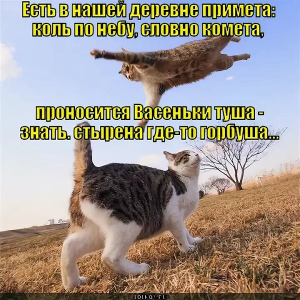 Прикольные приметы