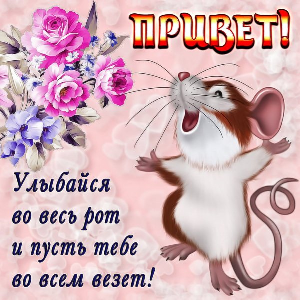 Интересные пожелания