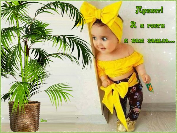 Прикольные приветствия