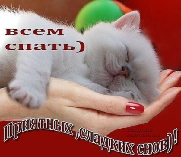Спокойной ночи приятных снов