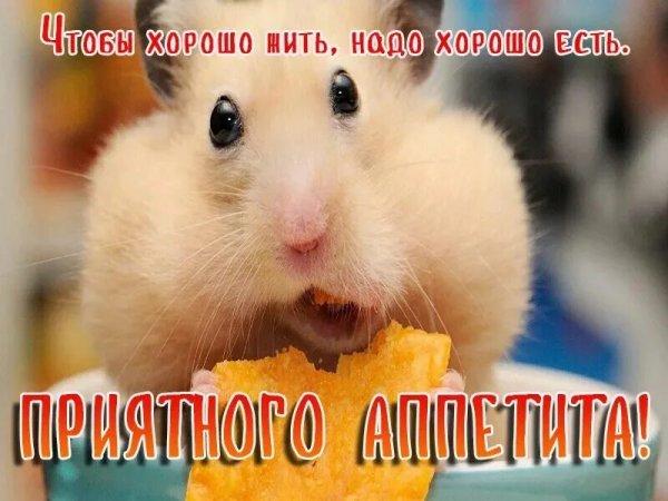 Пожелания приятного аппетита