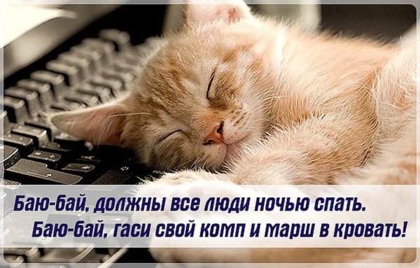 Открытки спокойной ночи прикольные