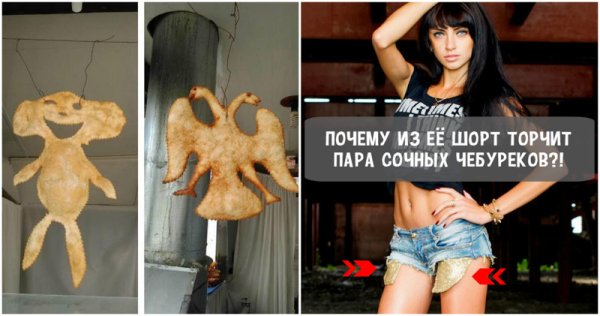 Чебурек смешное фото