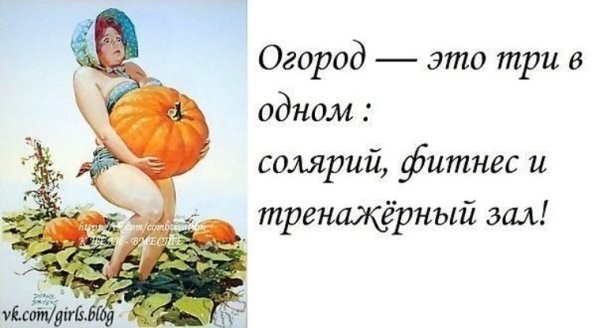 Высказывания про огород