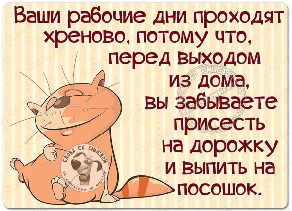 Прикольные высказывания в картинках