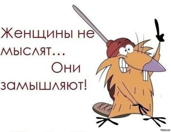 Юмор про хитрость