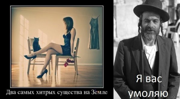Два самых хитрых существа на земле