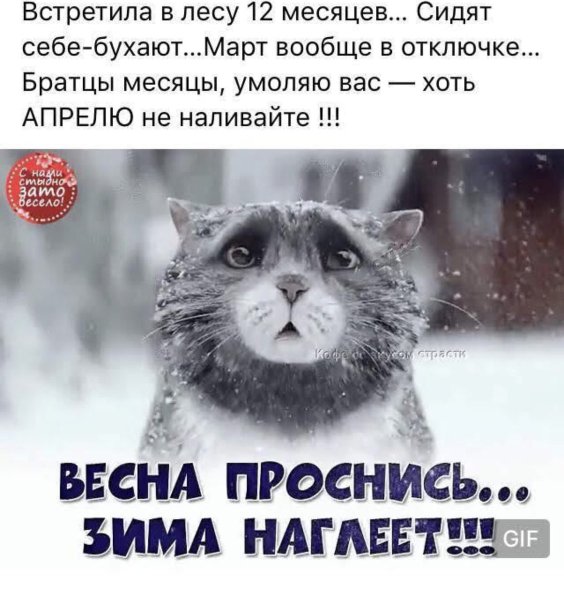 Шутки про зиму