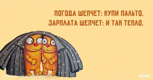 Смешной ноябрь