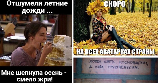 Шутки про осень