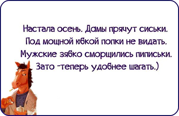 Прикольные цитаты про осень с юмором