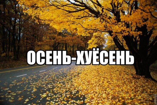 Мемы про осень