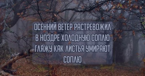 Цитаты про осень