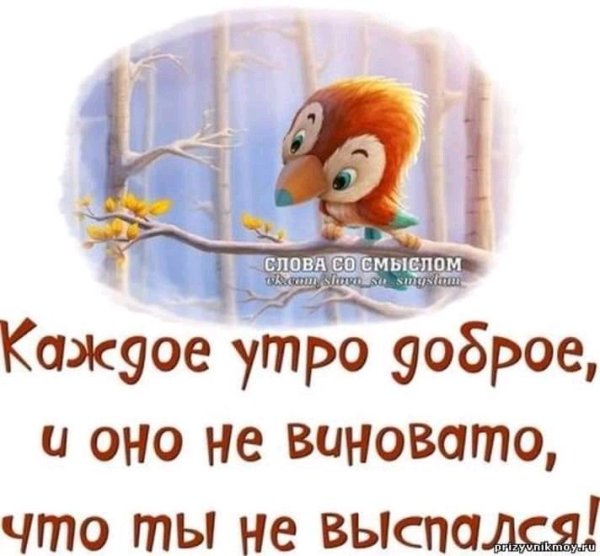Прикольные высказывания с добрым утром