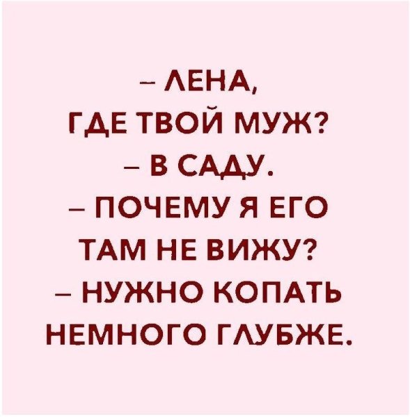 Смешные цитаты про Лену