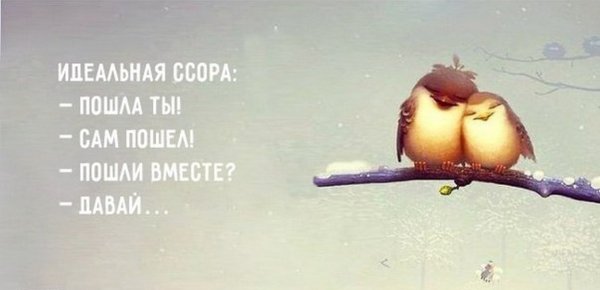 Прикольные цитаты про любовь