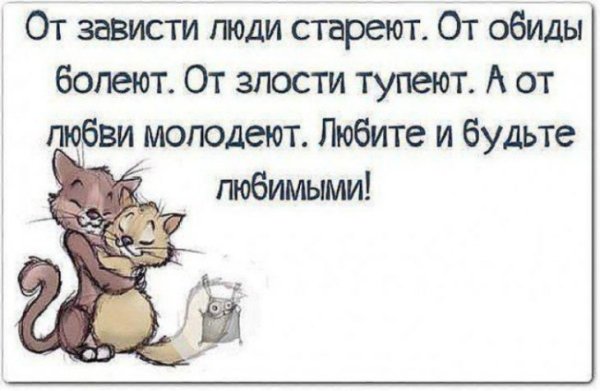 Прикольные цитаты про любовь