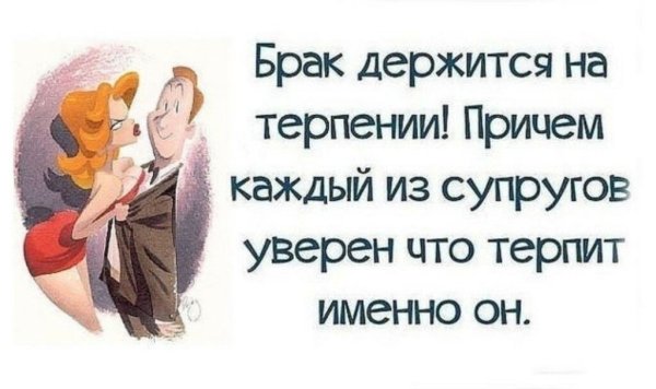 Смешные фразы про мужа