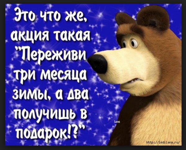 Смешные высказывания про весну