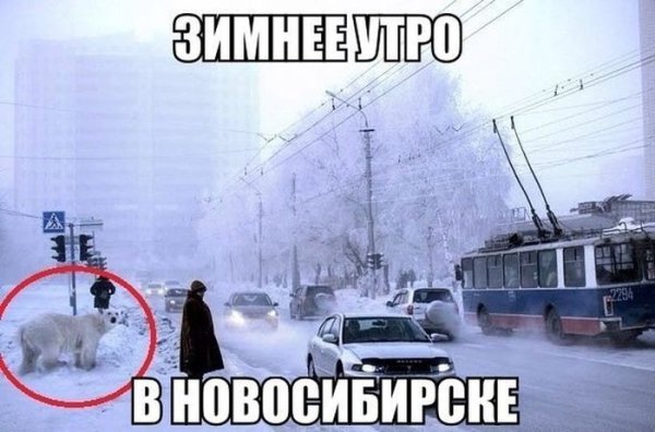 Приколы про Мороз
