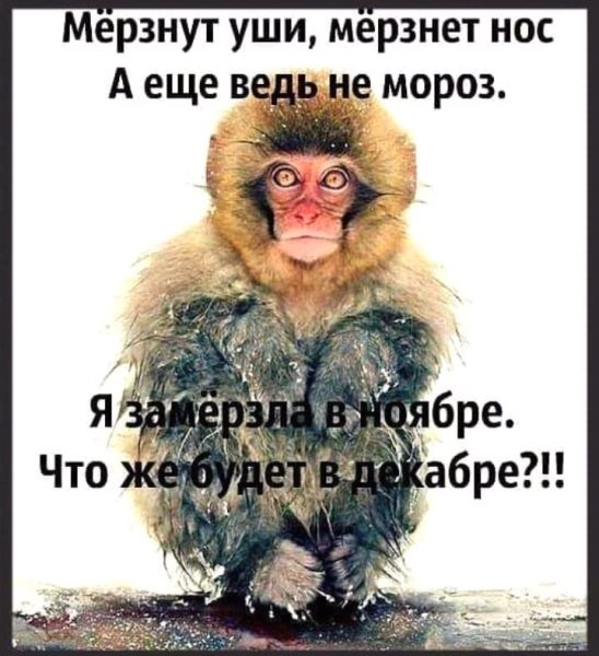 Шутки про холод на работе