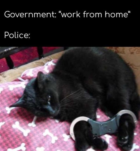 Наручники для котиков