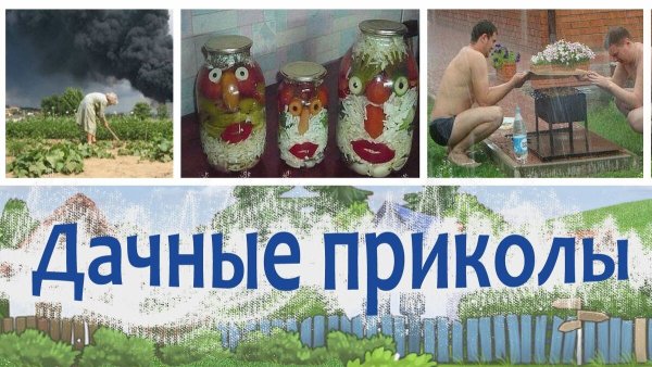 Открытки про дачу прикольные