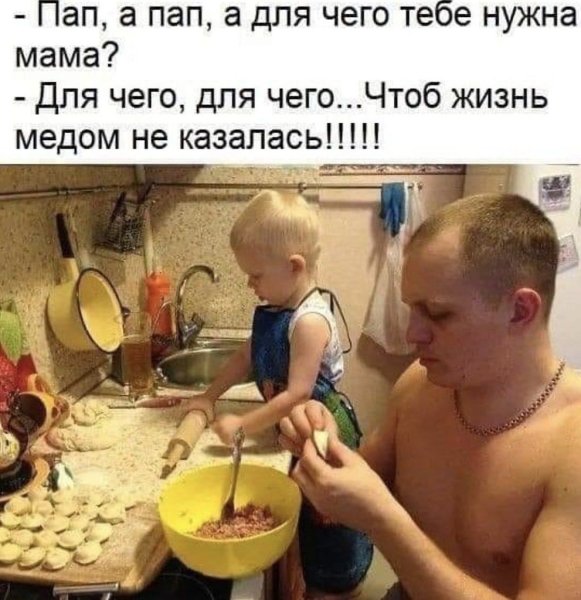 Смешное про пап