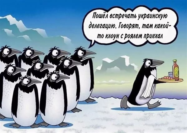 Про пингвинов с надписями