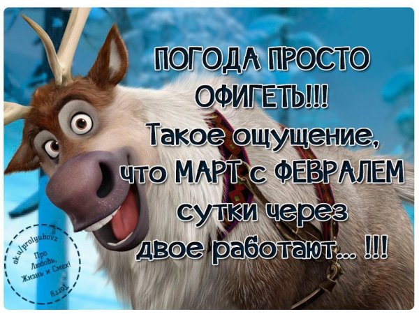 Весна афоризмы смешные