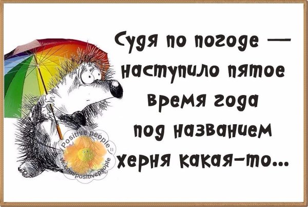 Смешные высказывания о погоде