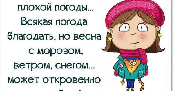 Смешные цитаты про погоду
