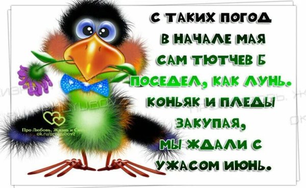 Статусы про погоду