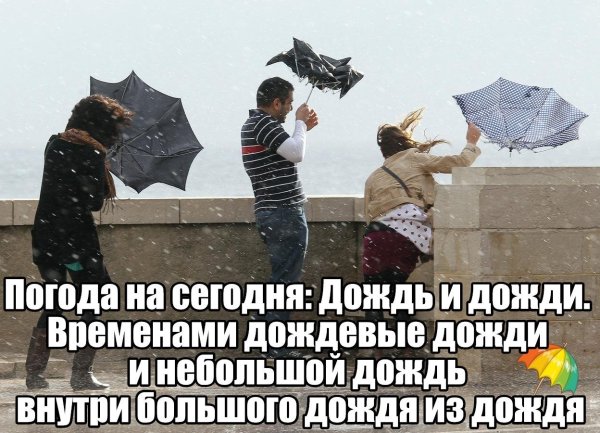 Приколы про дождливую погоду