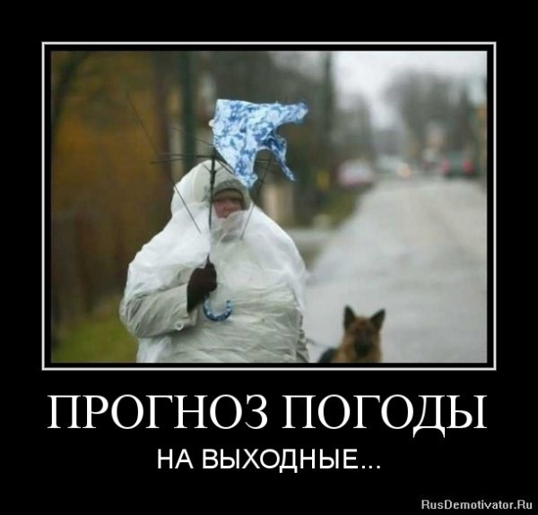 Демотиваторы про выходные