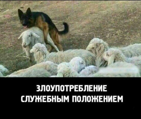 Жизненные приколы