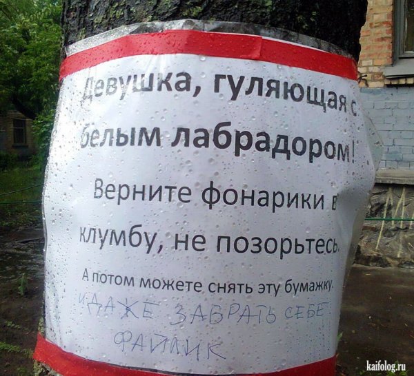 Смешные надписи